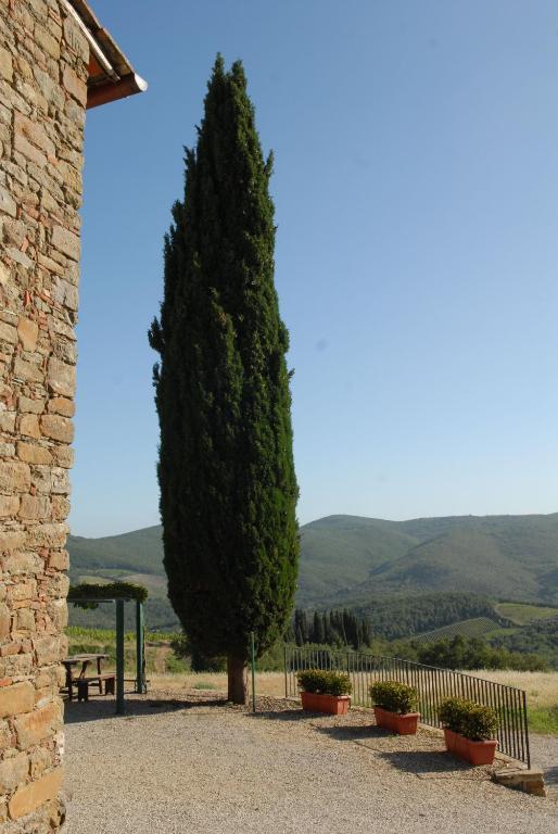 Gasthaus Fattoria Castelvecchi Radda in Chianti Exterior foto